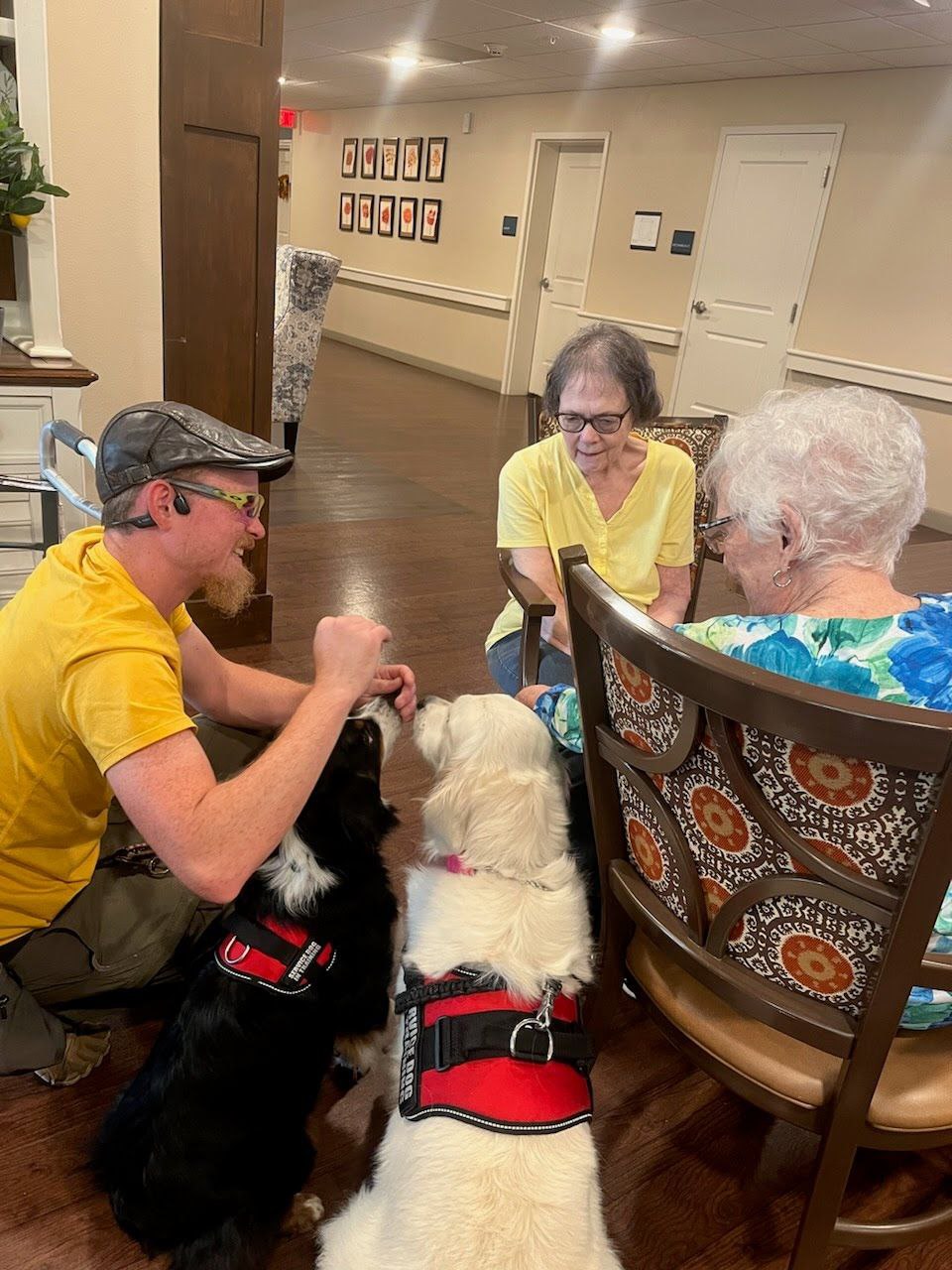 A service dog working with its handler