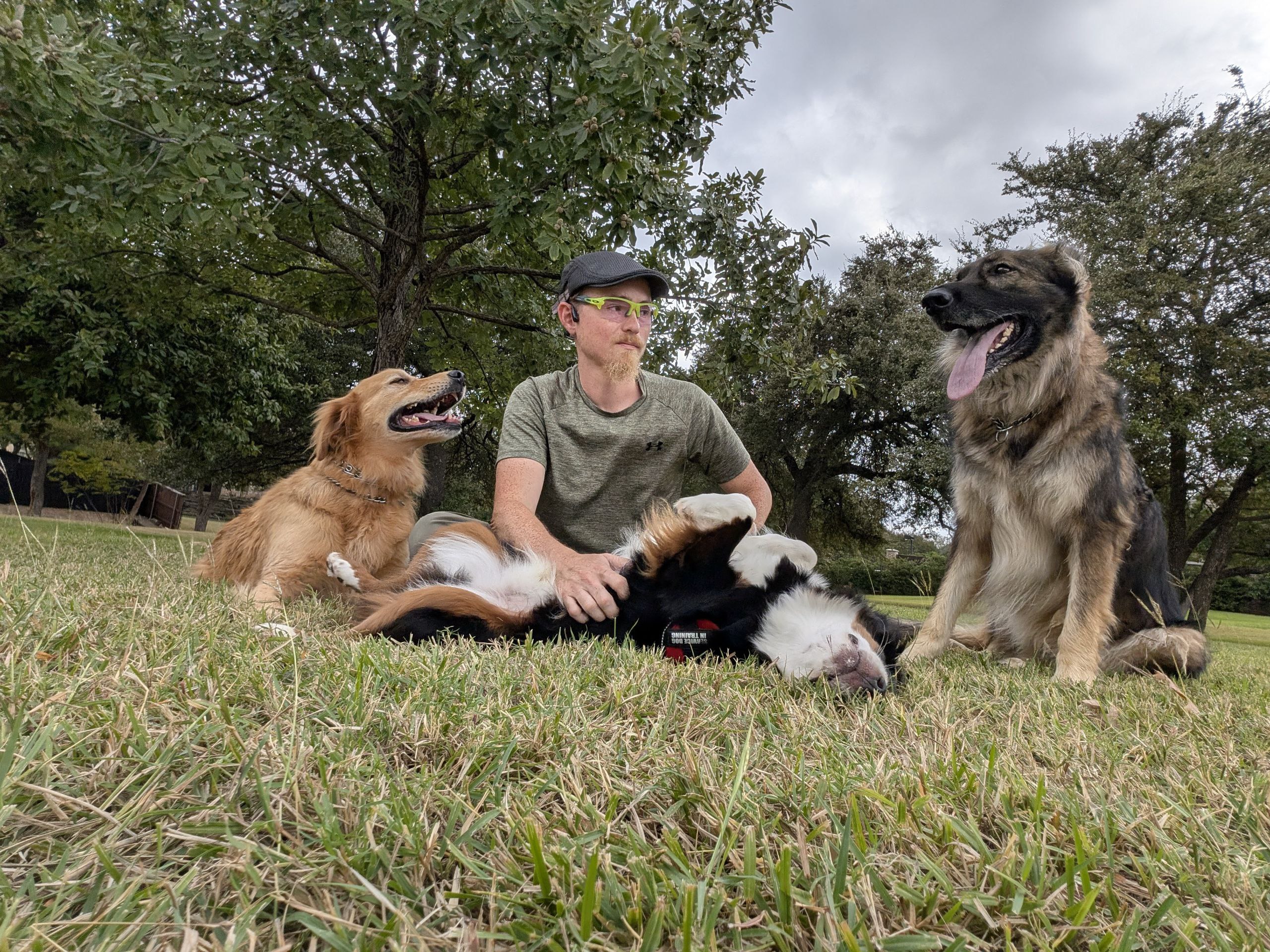 Two dogs being introduced in a controlled, positive setting